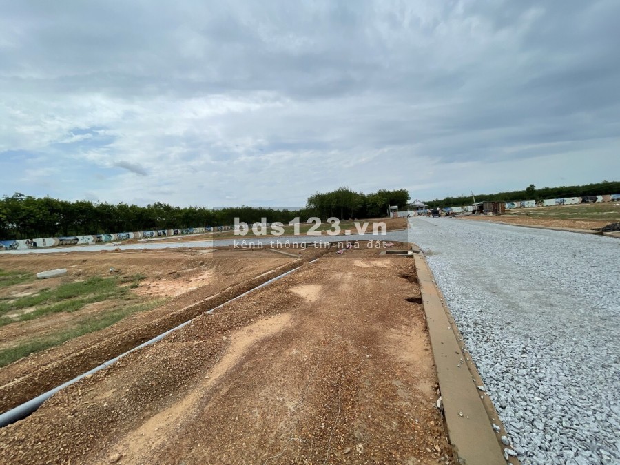Đất Sào Bình Phước Chính Chủ Giá Rẻ Vị Trí Đẹp