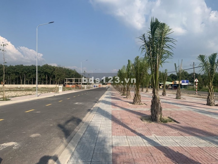 Còn 2 lô góc tại mặt tiền DT750 giá tốt cho nhà đầu tư sinh lời