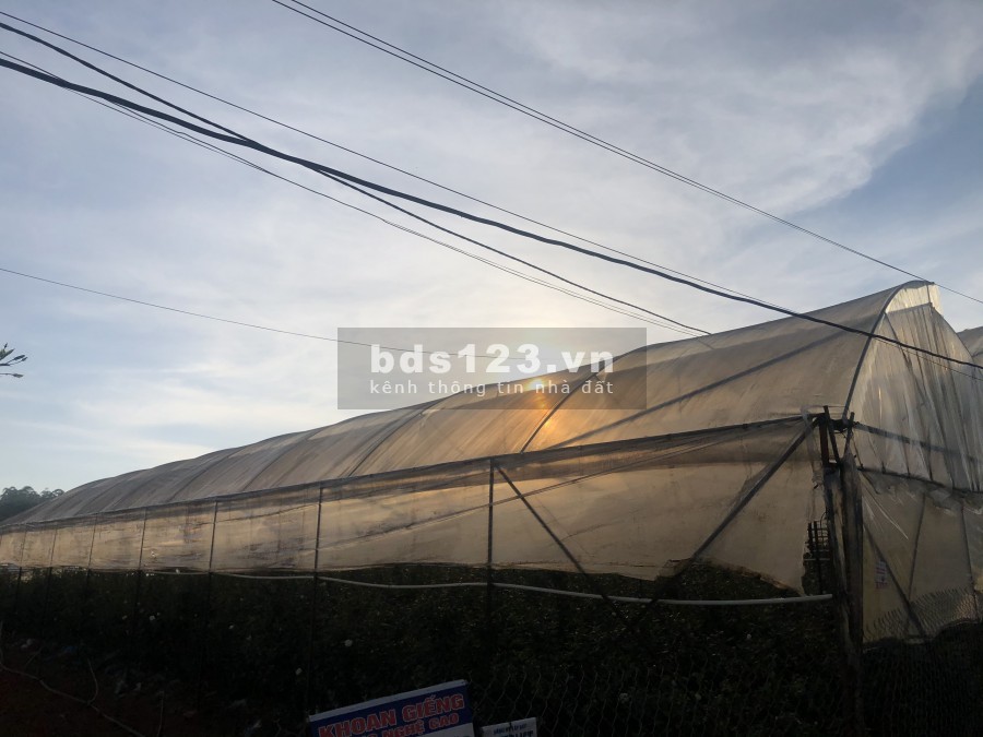 Bán 1 hecta đầu tư phân lô khu vực Vạn Thành thành phố Đà Lạt