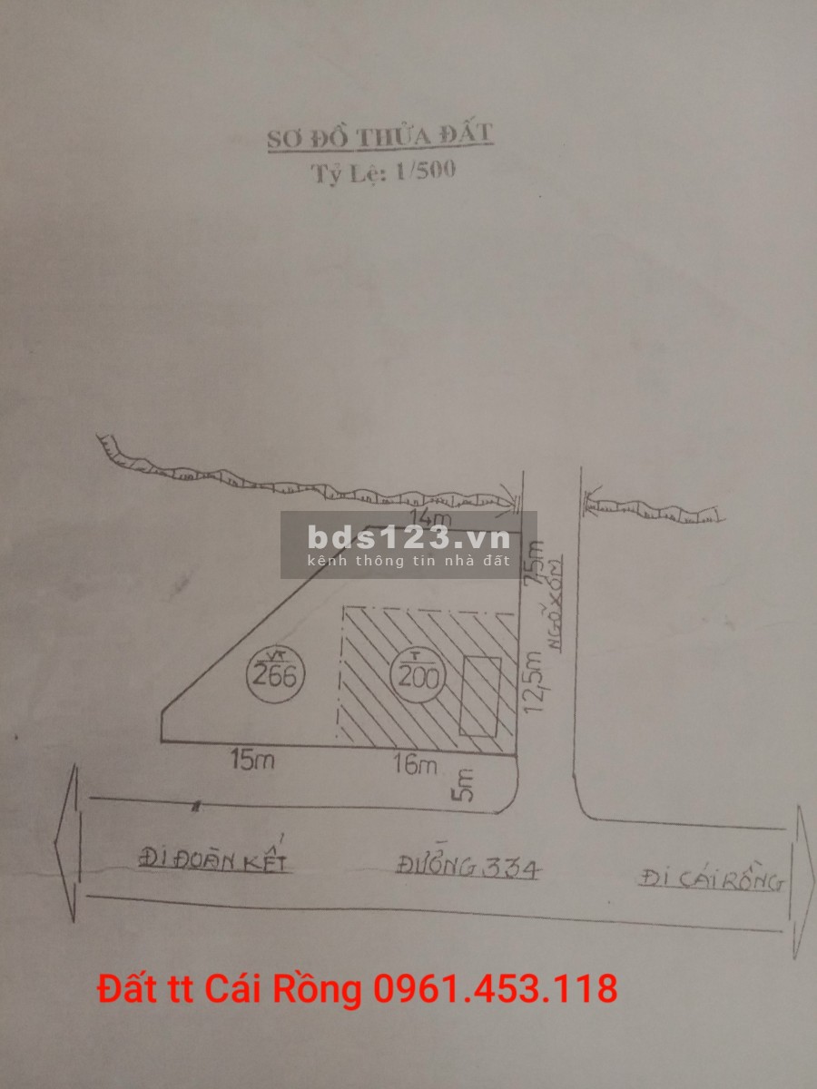 Bán đất tặng nhà hàng lô góc mặt tiền 31m tt Cái Rồng Vân…