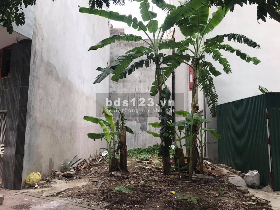 Bán đất chia lô đường Nguyễn Đình Chiểu, TP HD, 84.51m2, mt 6.51m, đường rộng, giá cực tốt