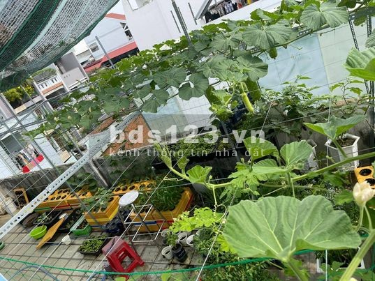 13 tỷ mua được nhà ngay Hồng Lạc diện tích 4mx34m, 1 trệt 4 lầu, quá rẻ.