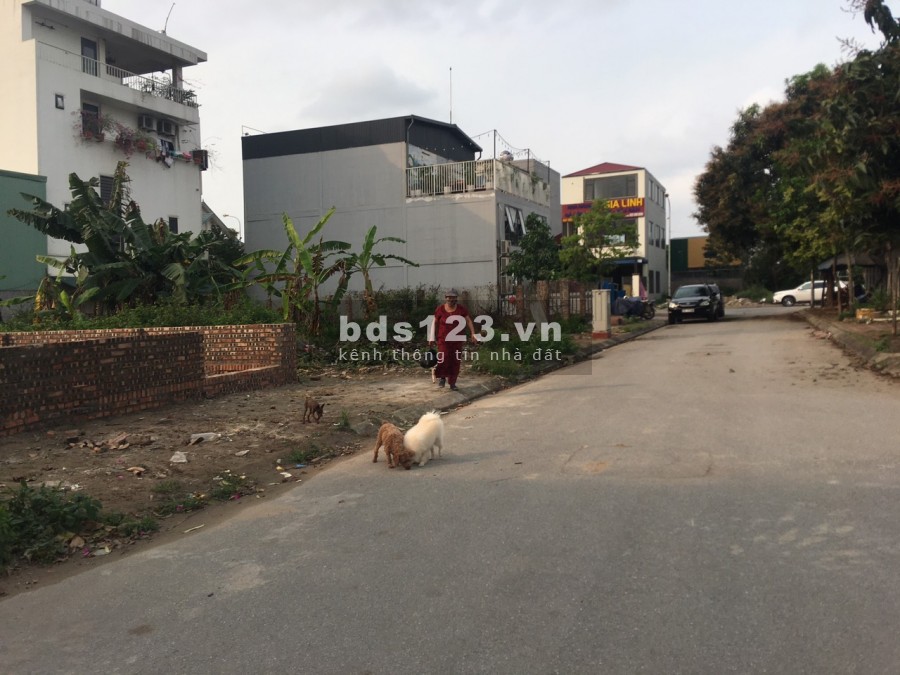 Cần bán đất mặt phố Chính Trung Trâu Quỳ, DT 113m, hướng Đông Nam, đường 15m