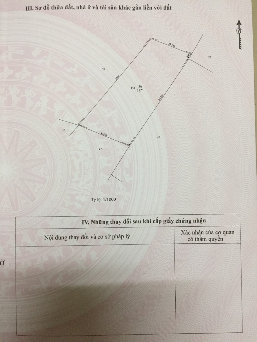 Bán 3171m2 đất Xã Bình Khánh Cần Giờ TPHCM. Giá cực tốt 4,5 tỷ