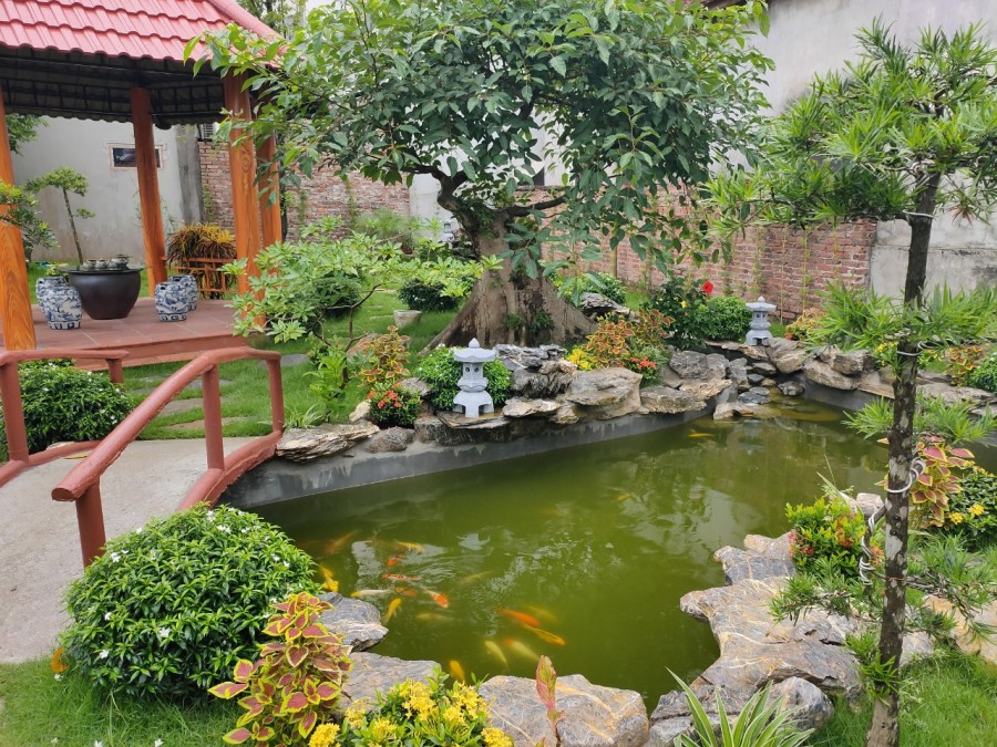 Chính chủ bán nhà vườn tại Thôn Gia Lương, Xã Việt Hùng, Đông Anh DT 580m2 Giá 24tr/m2 LH 0988746709