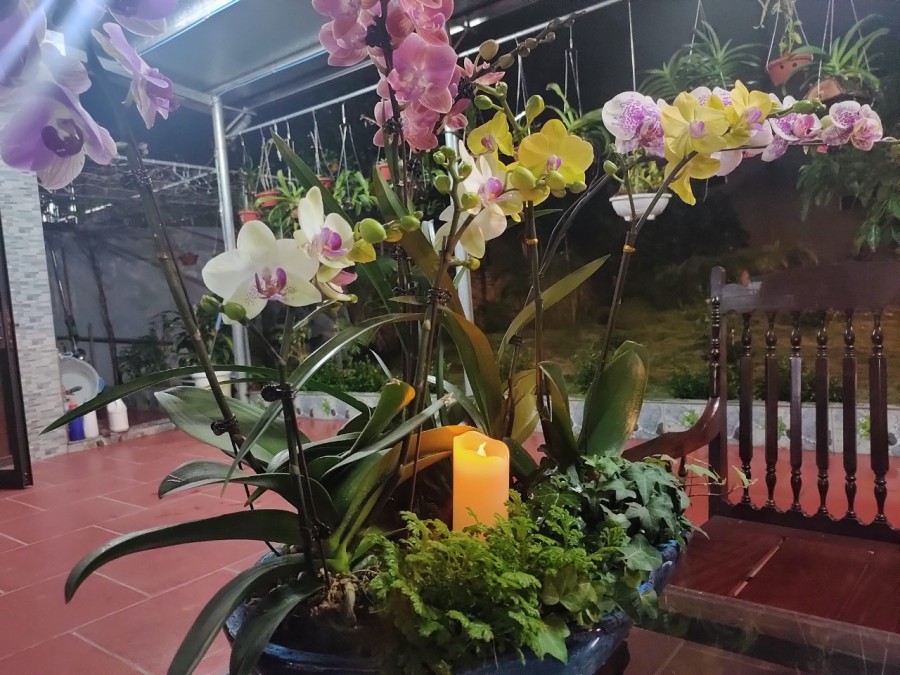 Chính chủ bán nhà vườn tại Thôn Gia Lương, Xã Việt Hùng, Đông Anh DT 580m2 Giá 24tr/m2 LH 0988746709
