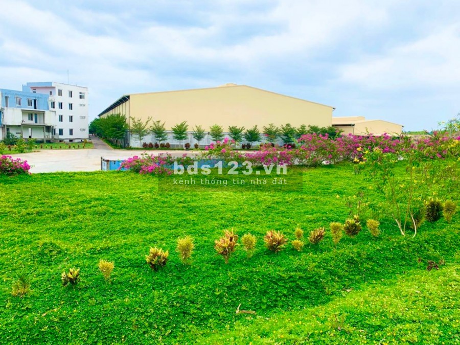 Đất sào đẹp chỉ với giá 1,2tr/m2 tại Phước Bình Long Thành