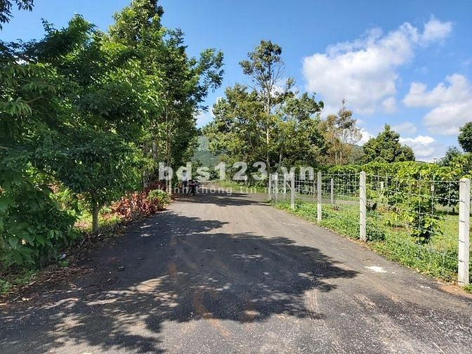 CHỈ VỚI 200 TRIỆU BAN ĐẦU SỞ HỮU ĐẤT VEN ĐÀ LẠT 200M2 CÓ THỔ CƯ
