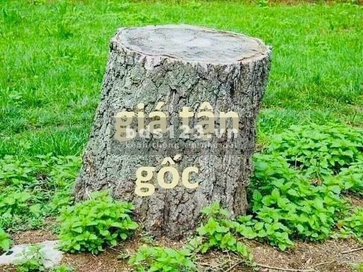 Bán nhà Yên Sở, Phân Lô, Ô tô tránh, 6 tầng