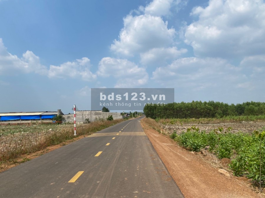 Đất sào đẹp chỉ với giá 1,2tr/m2 tại Phước Bình Long Thành