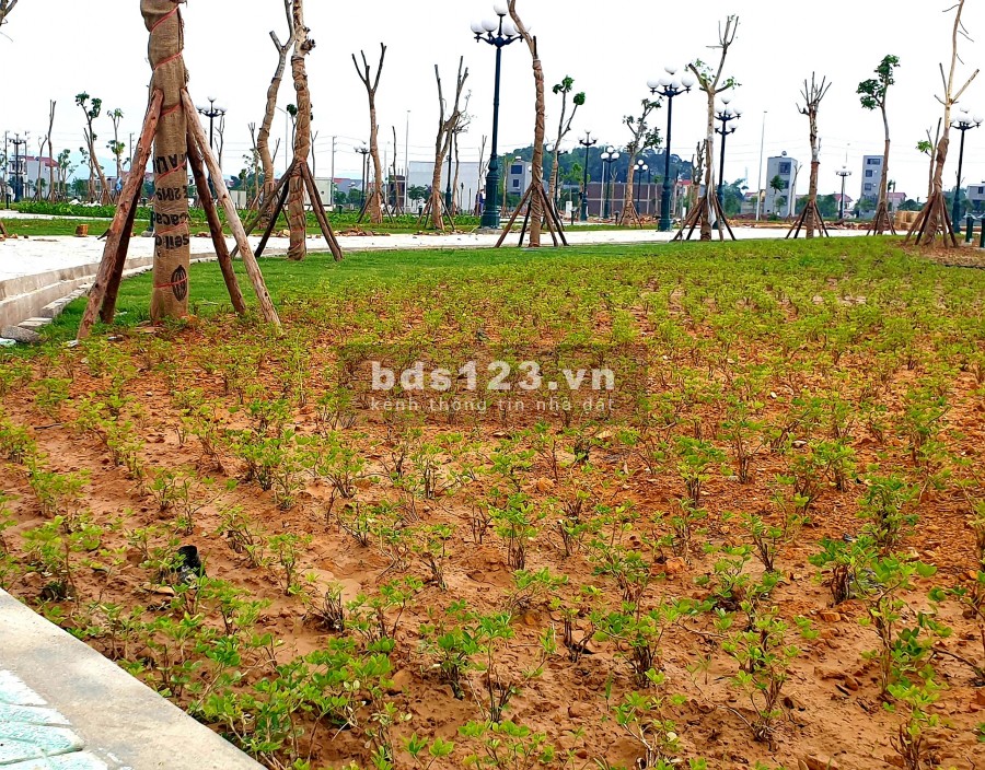 Đất nền dự án TP Bắc giang: 0388591558