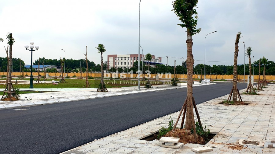 Đất nền dự án TP Bắc giang: 0388591558