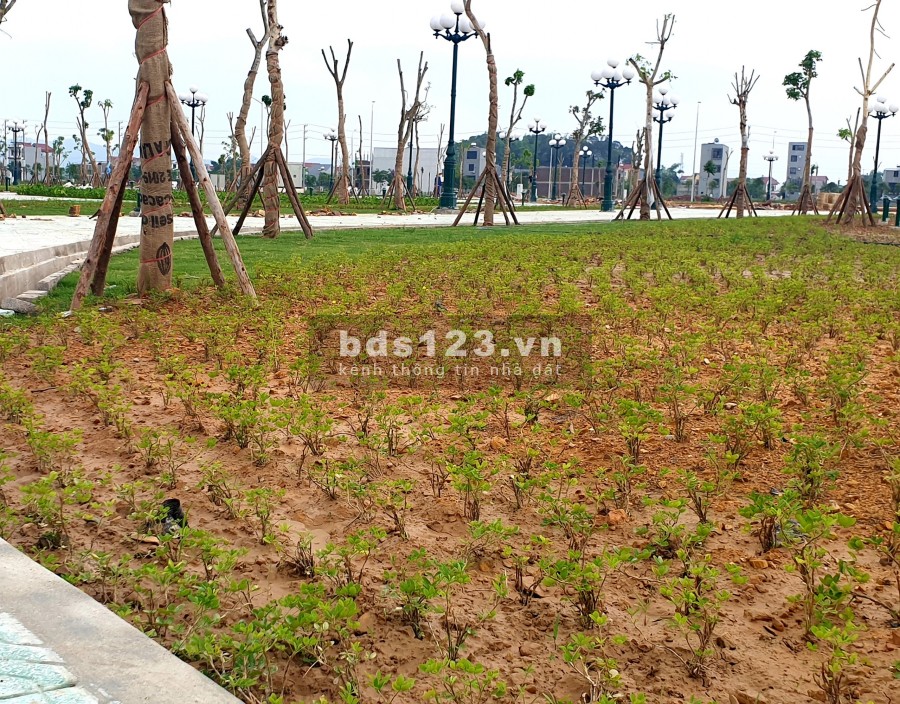 Đất nền dự án TP Bắc giang: 0388591558