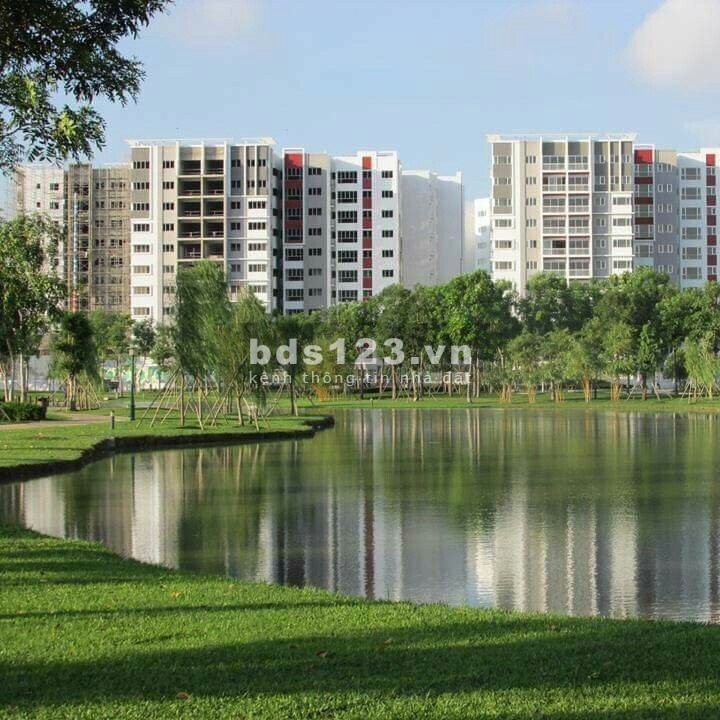 Bán 3pn view đại lộ, tầng cao khu Diamond Alnata dự án Celadon City 0909428180