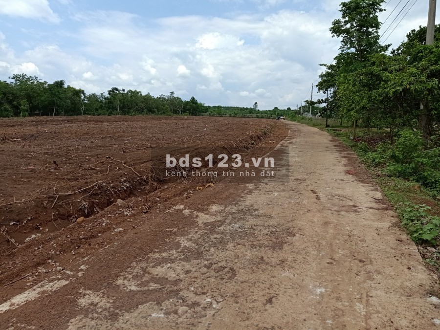 Đất giá rẻ Lộc Ninh Bình Phước