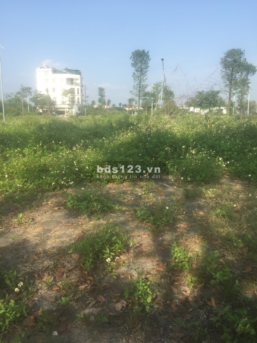 Bán Biệt thự Liền kề kiot giá rẻ nhất Thanh Hà CienCo5 Mường Thanh