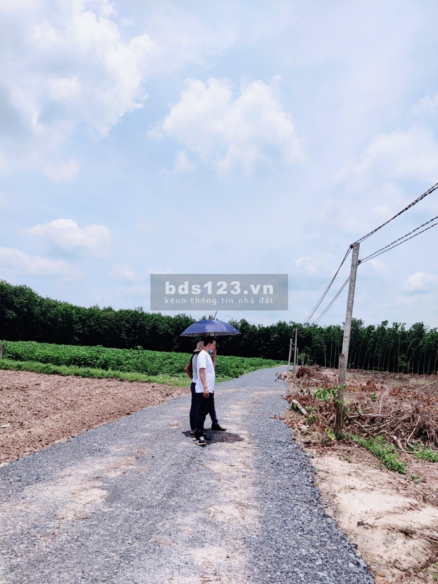 Bán đất Tây Ninh Chính Chủ - Có sổ hồng, Giá cực tốt