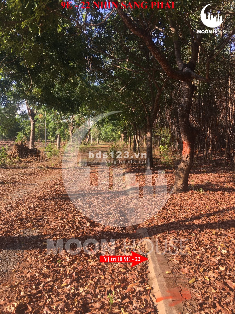 ĐẤT DỰ ÁN XÃ PHƯỚC AN , NHƠN TRẠCH ĐỒNG NAI