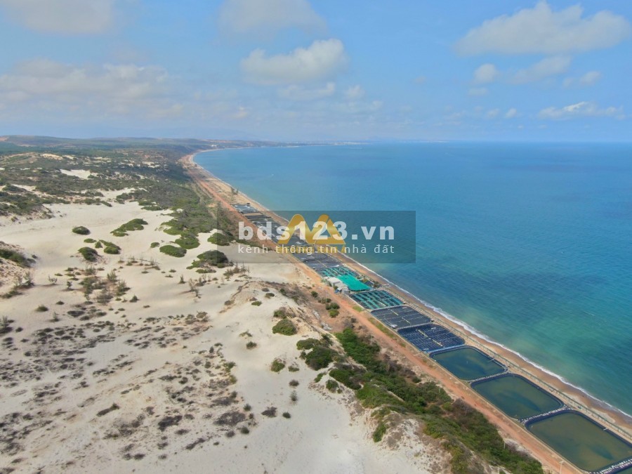 BÁN GẤP LÔ ĐẤT VƯỜN 8300M2 VỊ TRÍ ĐẸP XÃ PHAN THANH, TỈNH BÌNH THUẬN