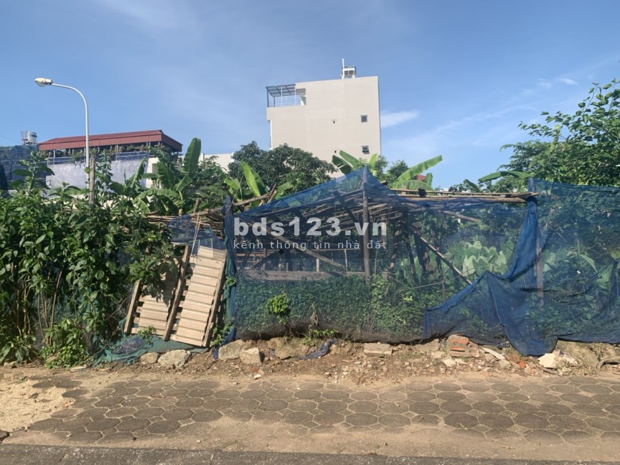 Bán đất cứu doanh nghiệp, 247m đất khu biệt thự M3 31ha Trâu Quỳ, sát ngay quận ủy Gia Lâm