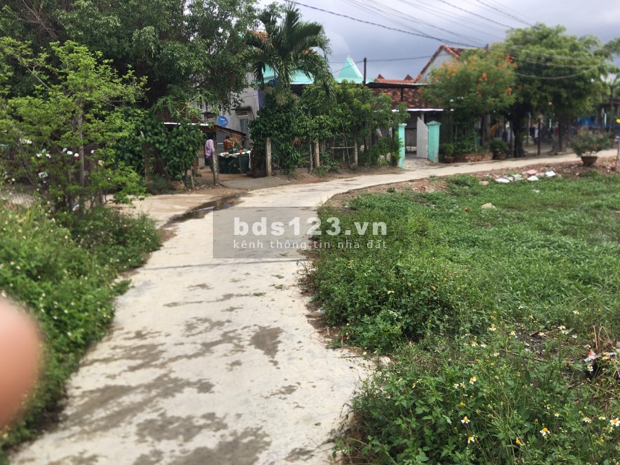 Đất 2 mặt tiền Ninh Giang - Ninh Hòa giá tốt