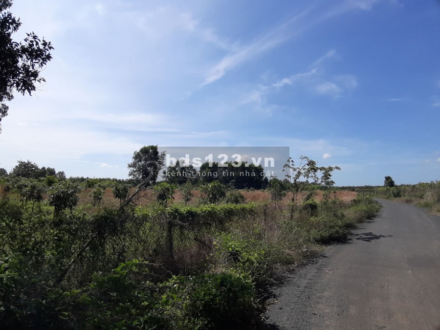 Đất Vũng Tàu giá rẻ, 35000m2, giá 5 tỷ, lô góc 2 mặt thoáng kinh doanh