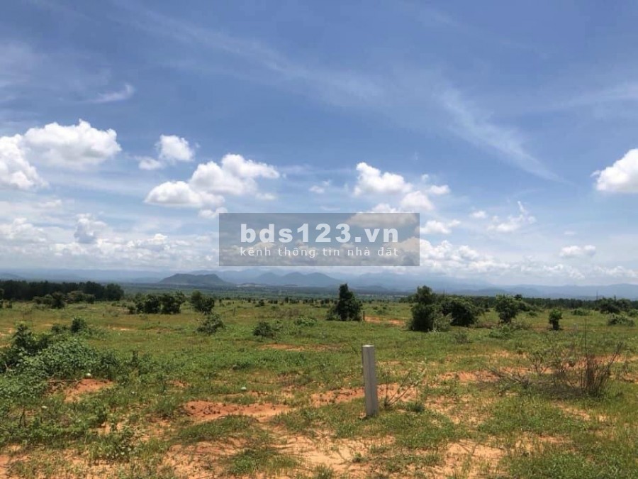 Cần Bán Gấp Lô Đất 2 Mặt Tiền Đường