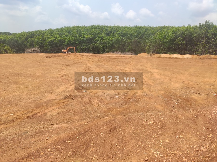 Cần bán vài sào đất Đông Phú 1000m2 ngay chợ