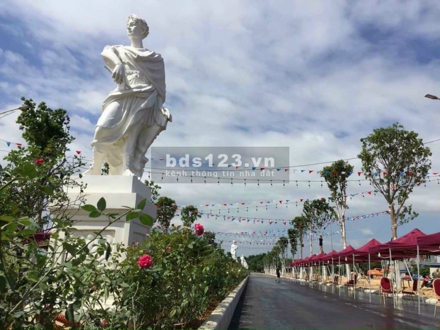 Dự án lợi nhuận từ 40% đến 60% trong 12 tháng