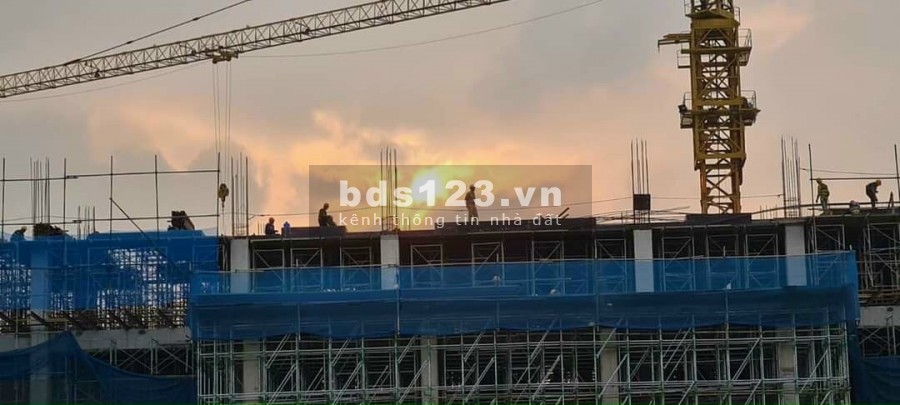 Dự án lợi nhuận từ 40% đến 60% trong 12 tháng