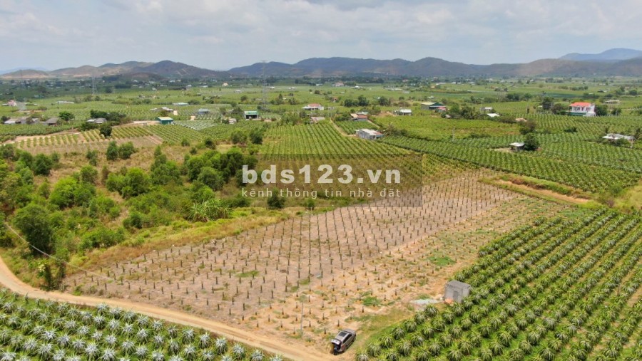 Lô đất vườn vị trí đẹp tại xã Phan Thanh, Bắc Bình, Bình Thuận