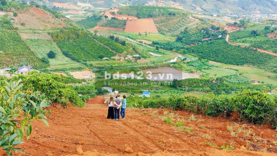 BÁN 520M2 ĐẤT VEN SUỐI CAM LY, NAM BAN, LÂM ĐỒNG, GIÁ 475 TRIỆU