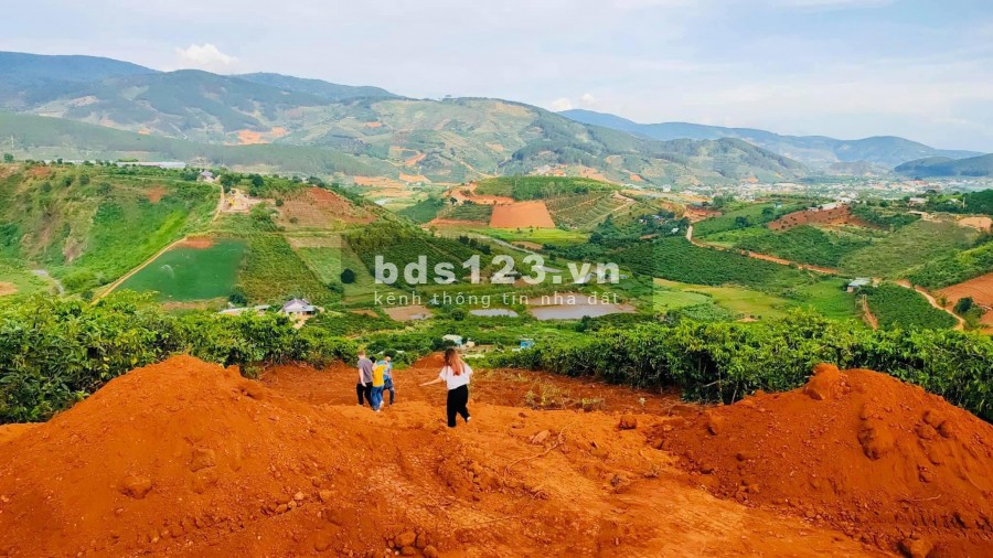 BÁN 520M2 ĐẤT VEN SUỐI CAM LY, NAM BAN, LÂM ĐỒNG, GIÁ 475 TRIỆU