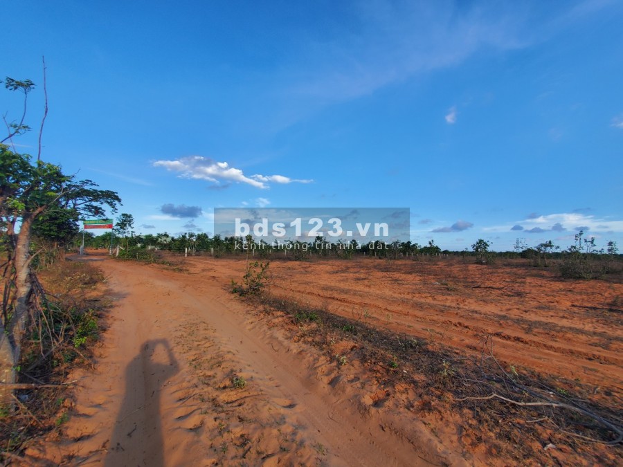 Bán 10,900m2 đất hoà thắng cách ĐT 716 700m ra bàu trắng 10p Lh 0938677909 Hiền xem sổ đã gia hạn
