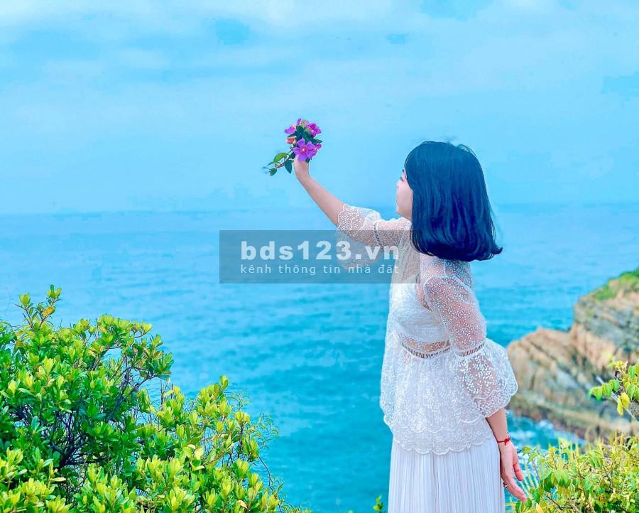 Đất CÔ TÔ kinh doanh du lịch, giá siêu RẺ đang cần tìm chủ Đầu Tư thông thái