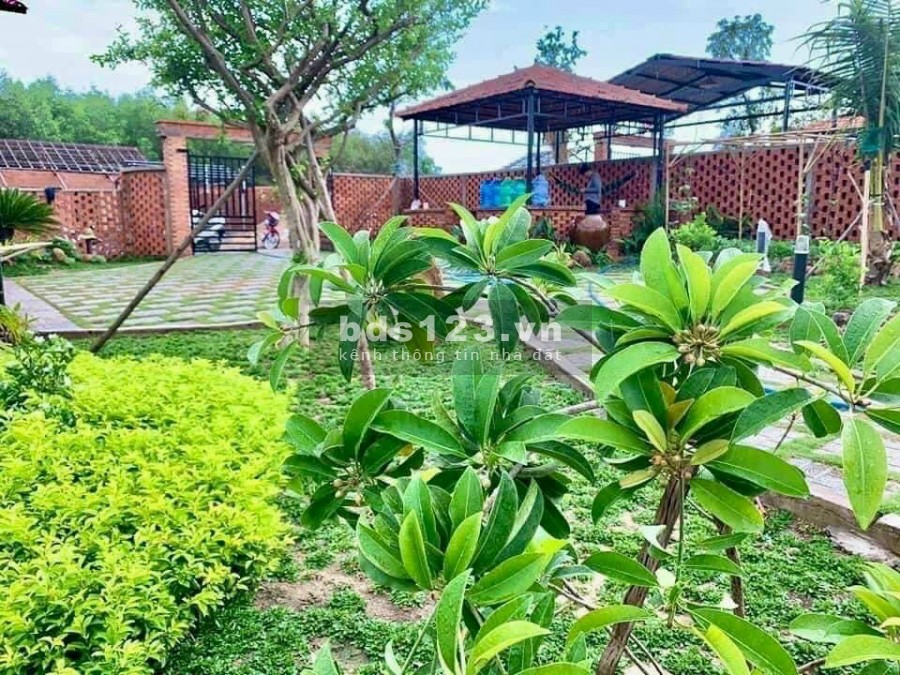 Chỉ 2 tỷ 5, sở hữu ngay nhà vườn nghỉ dưỡng củ chi 1000m2, shr.