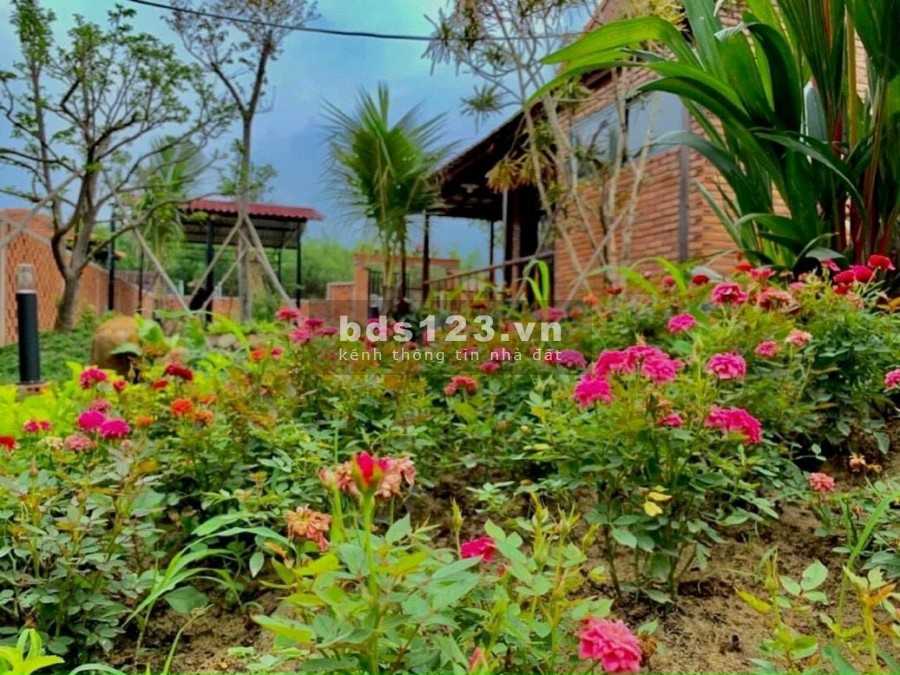 Chỉ 2 tỷ 5, sở hữu ngay nhà vườn nghỉ dưỡng củ chi 1000m2, shr.