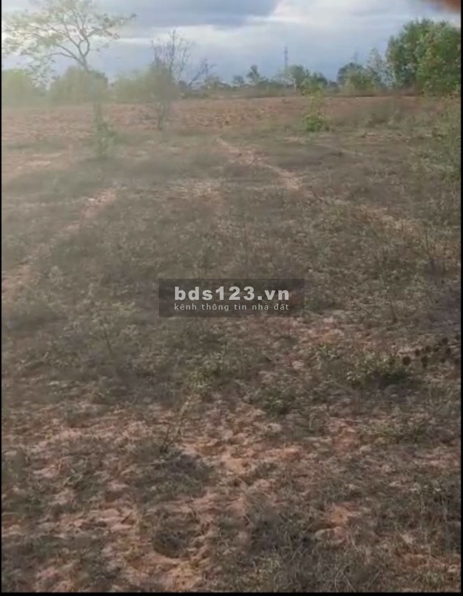 Bán 10,900m2 đất hoà thắng cách ĐT 716 700m ra bàu trắng 10p Lh 0938677909 Hiền xem sổ đã gia hạn