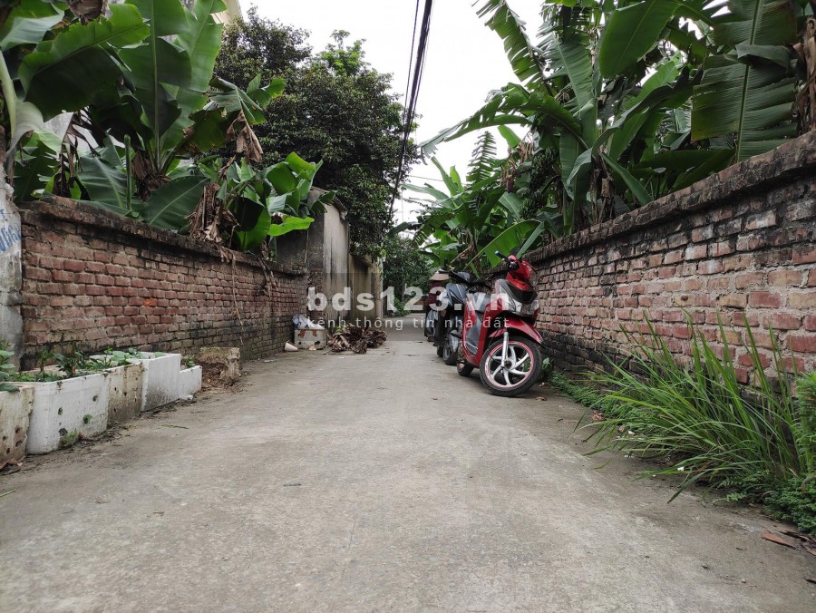 ĐẤT ĐẸP GIANG BIÊN LONG BIÊN LÔ GÓC Ô TÔ CHỖ 7 ĐỖ NGÀY ĐÊM TRƯỚC CỬA 69M2 2.07 TỶ