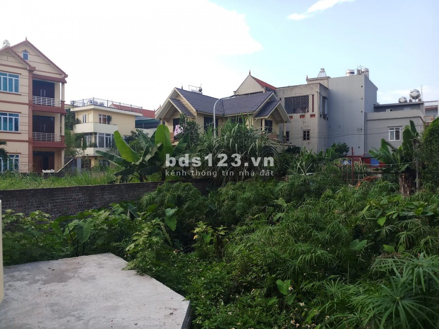 Cần bán gấp Đất ĐẸP - RẺ Di Ái Hoài Đức 1,5 tỷ 42m