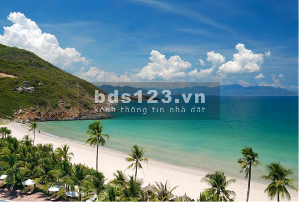 Đất biển sở hữu vĩnh viễn – Liên hệ em Tuấn để em bán cho hi