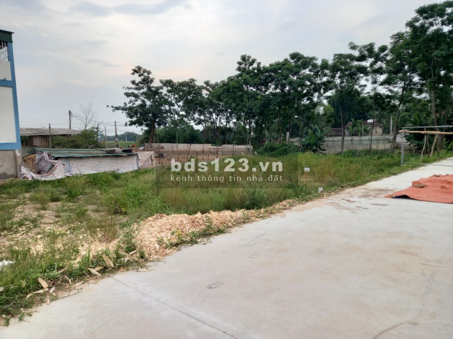 Cần tiền nên bán gấp 2 lô đất liền kề đẹp
