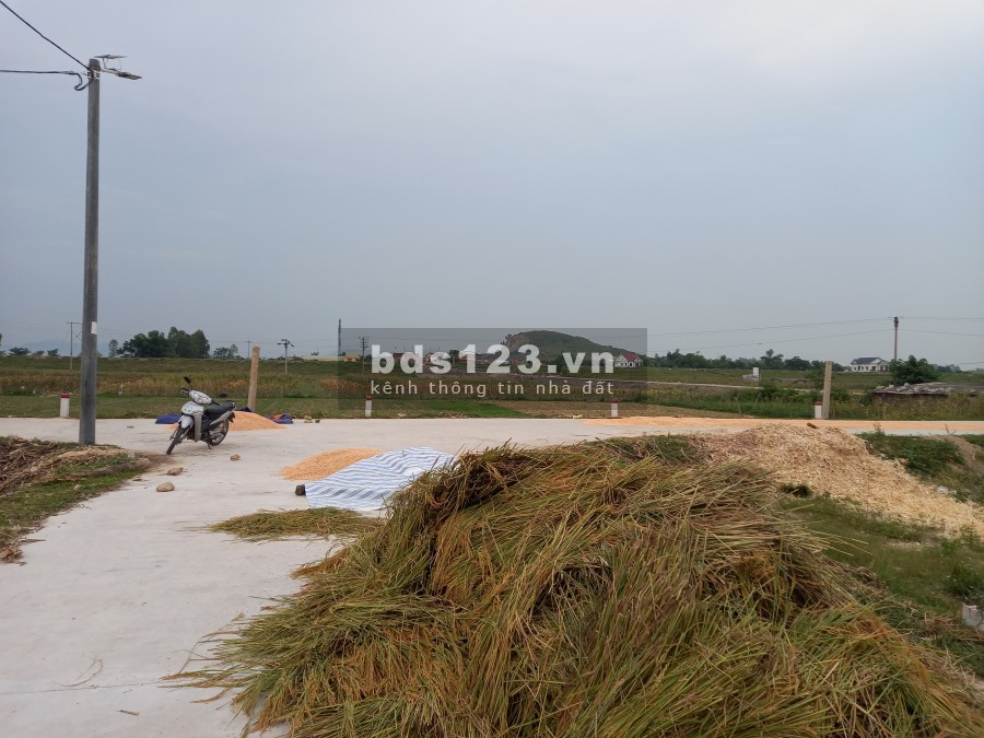 Cần tiền nên bán gấp 2 lô đất liền kề đẹp