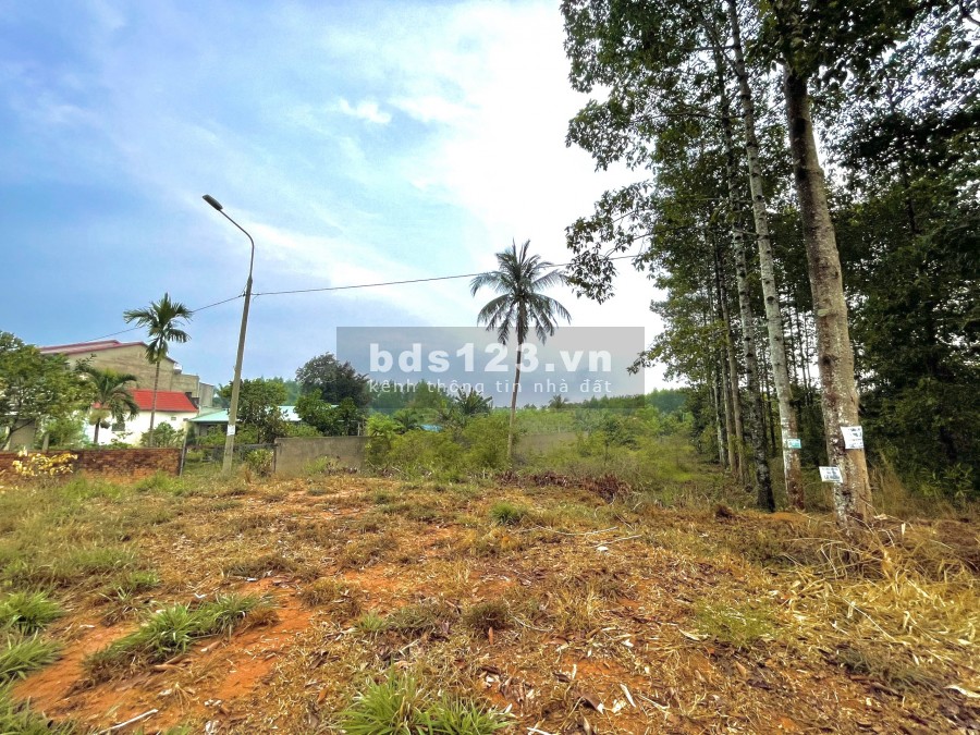 Bán 996.5m2 mặt tiền Phước Bình, Long Thành CỰC HIẾM, Chính Chủ không qua MÔI GIỚI LH: 0939805721