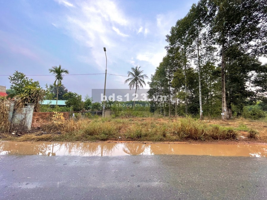 Bán 996.5m2 mặt tiền Phước Bình, Long Thành CỰC HIẾM, Chính Chủ không qua MÔI GIỚI LH: 0939805721