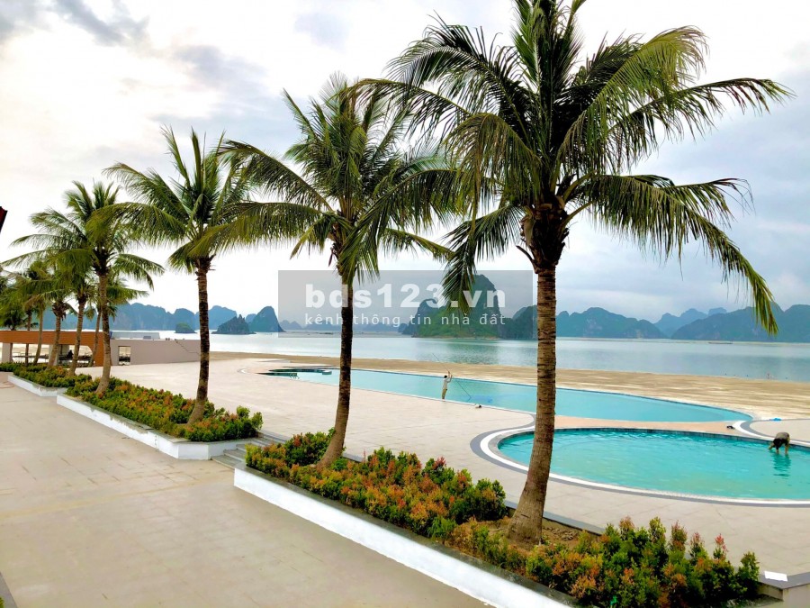 NHẬN ĐẶT CHỖ SIÊU PHẨM ĐẤT LIỀN KỀ LK26 GIÁP BIỂN KĐT PHƯƠNG ĐÔNG VÂN ĐỒN