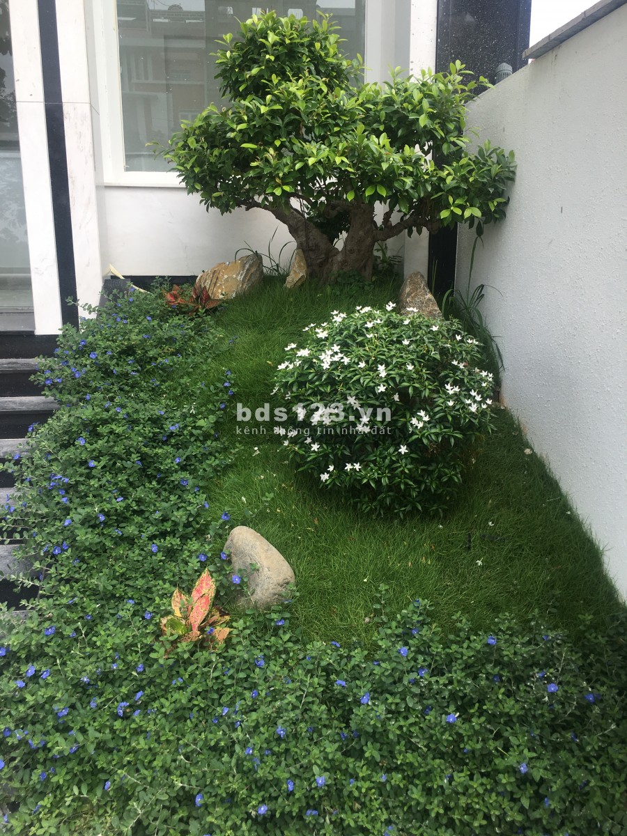 Cho thuê văn phòng gần UBND thành phố Thủ Đức