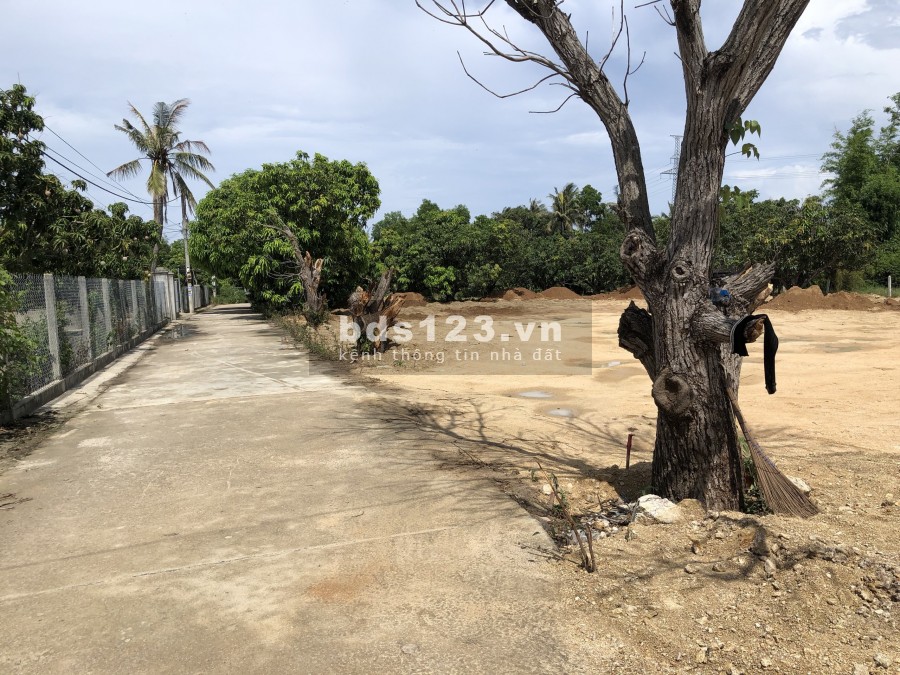 Thửa đất cách đầm thủy triều 300m - Giá đầu tư