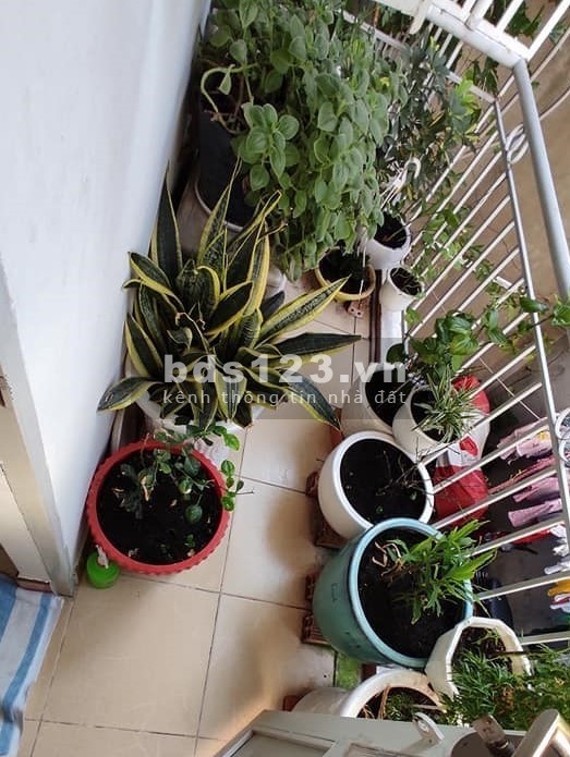 Nhà hiếm 22m2 Âu Cơ, ngang 3,2m, hẻm 3 gác, Quận Tân Bình, chỉ 2 tỷ 35