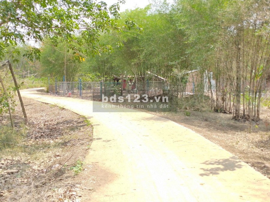 Bán đất Bình Phước giá rẻ chỉ 1000m2/175tr có sổ sẵn